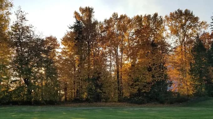 Autumn trees bordering a green at Dakota Creek Golf Course