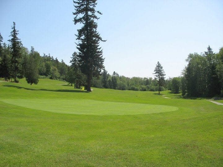 A green surrounded by trees at Dakota Creek Golf Course